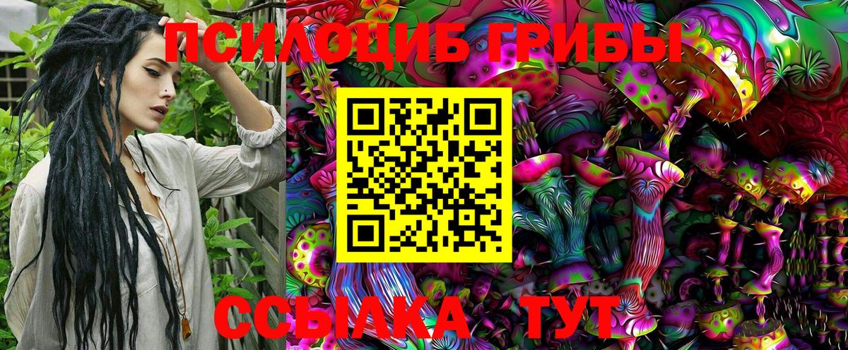 Галлюциногенные грибы Psilocybine cubensis Среднеуральск